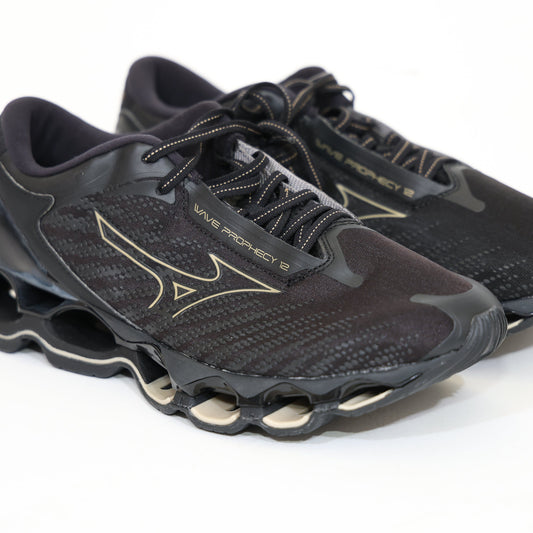 Mizuno Wave Prophecy 12