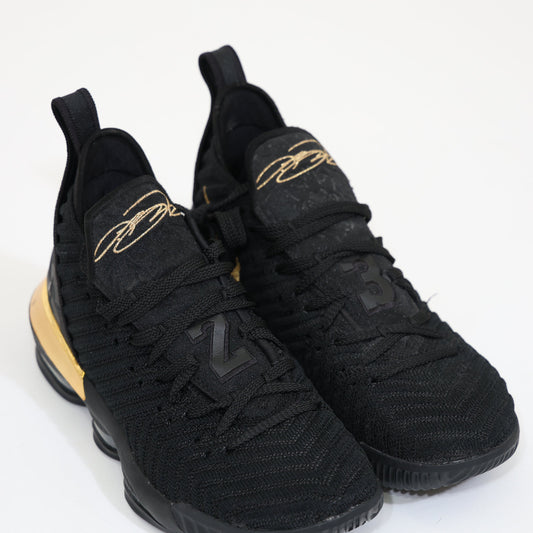Nike LeBron 16 "I Am King"